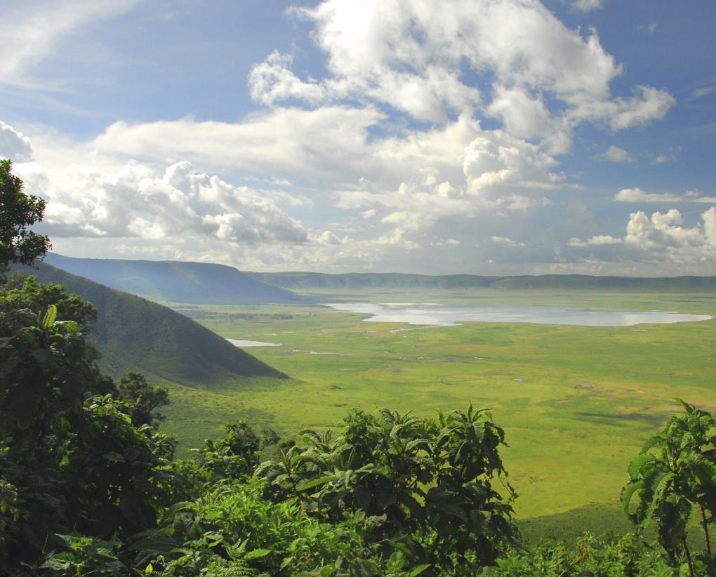 Ngorongoro