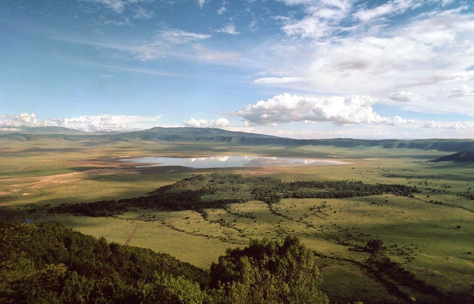 Ngoro1