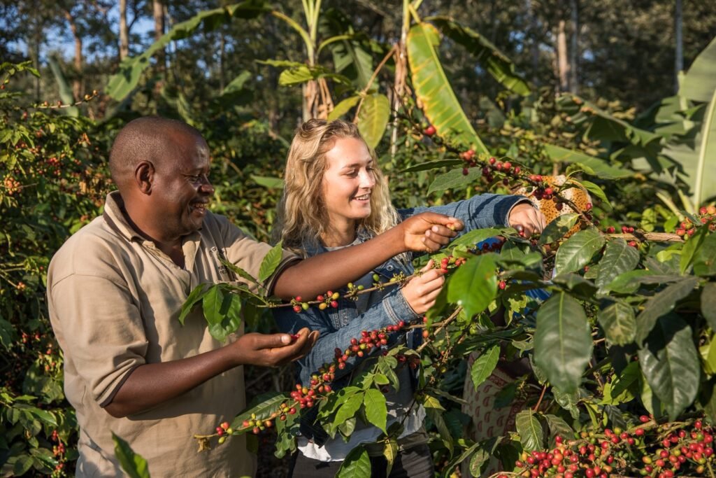 Coffee Tour